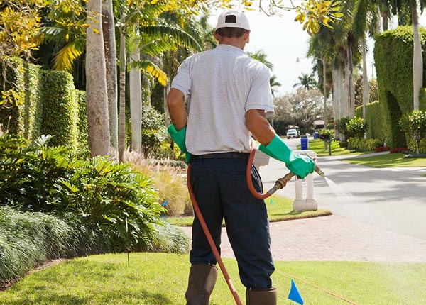 About Wood Ridge NJ Pest Control Pros